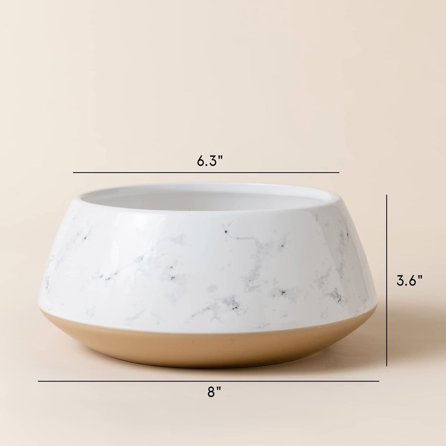 Large Succulent Ceramic Planter Pot, 8 Inch