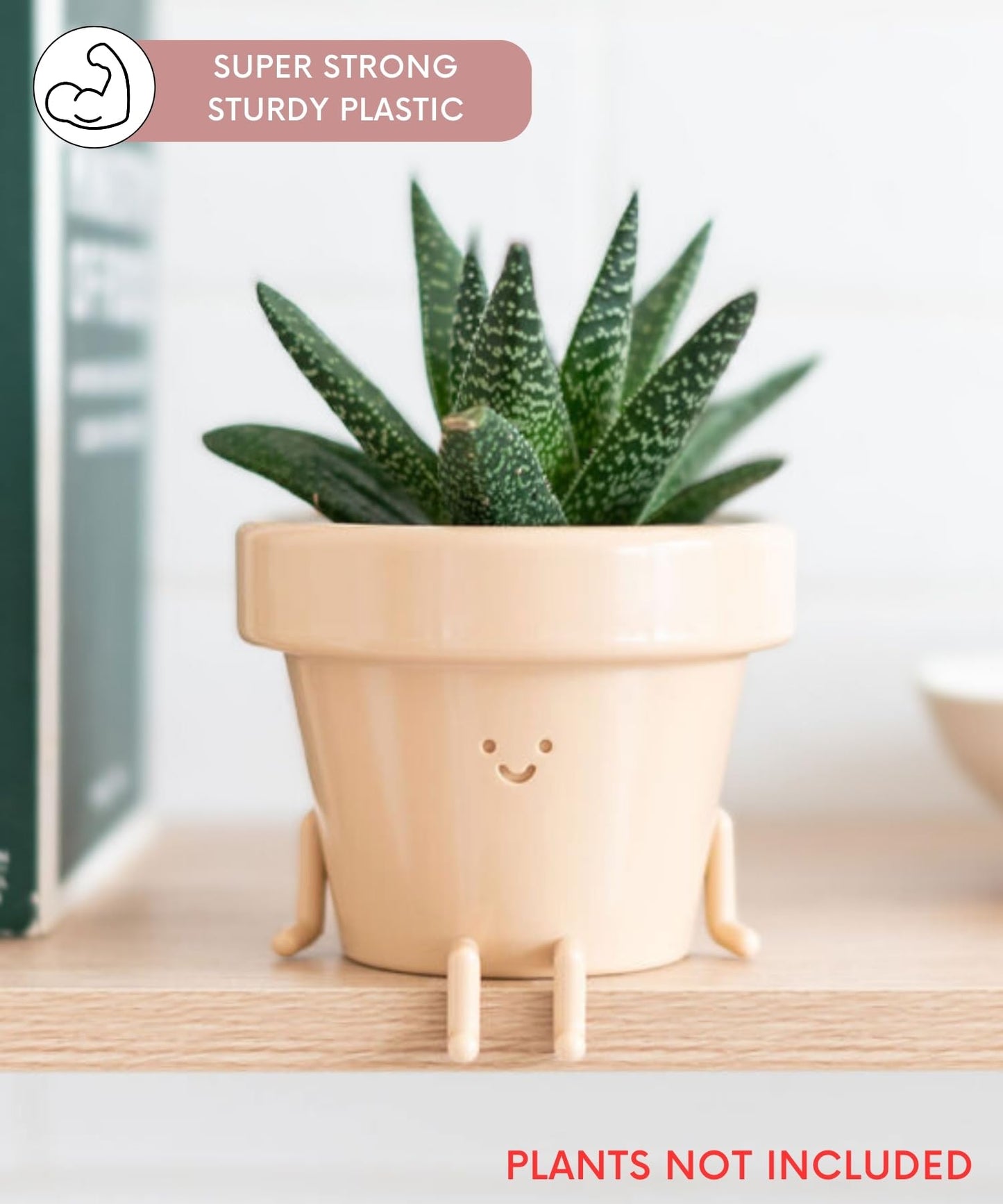 Cute Sitting Planter - 3.5 Inch with Drainage, Unique Succulent & Cactus Pot, Fun Teacher & Housewarming Gift