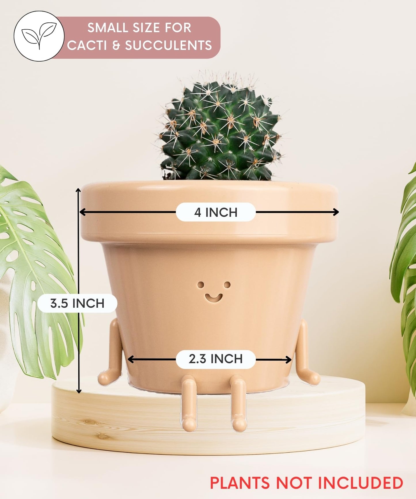Cute Sitting Planter - 3.5 Inch with Drainage, Unique Succulent & Cactus Pot, Fun Teacher & Housewarming Gift