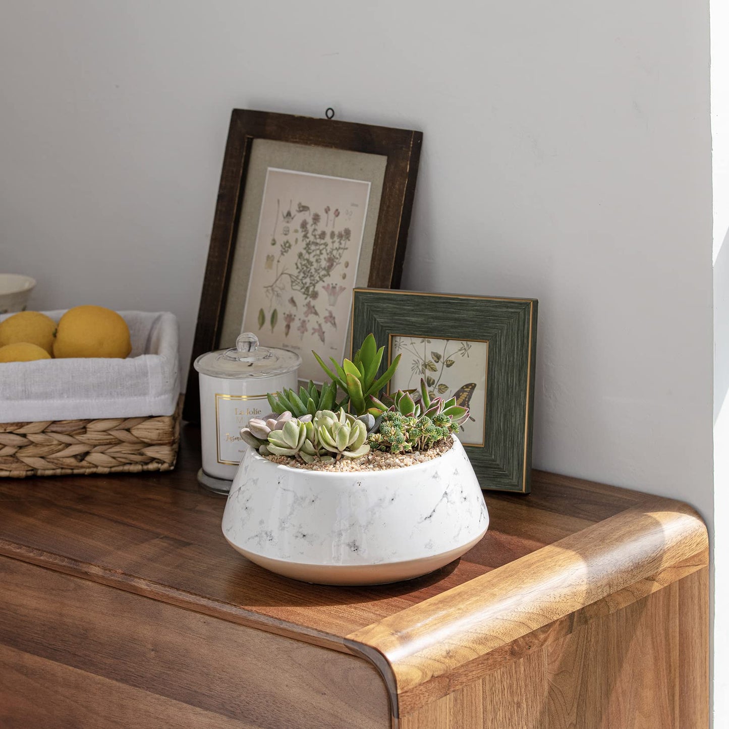Large Succulent Ceramic Planter Pot, 8 Inch