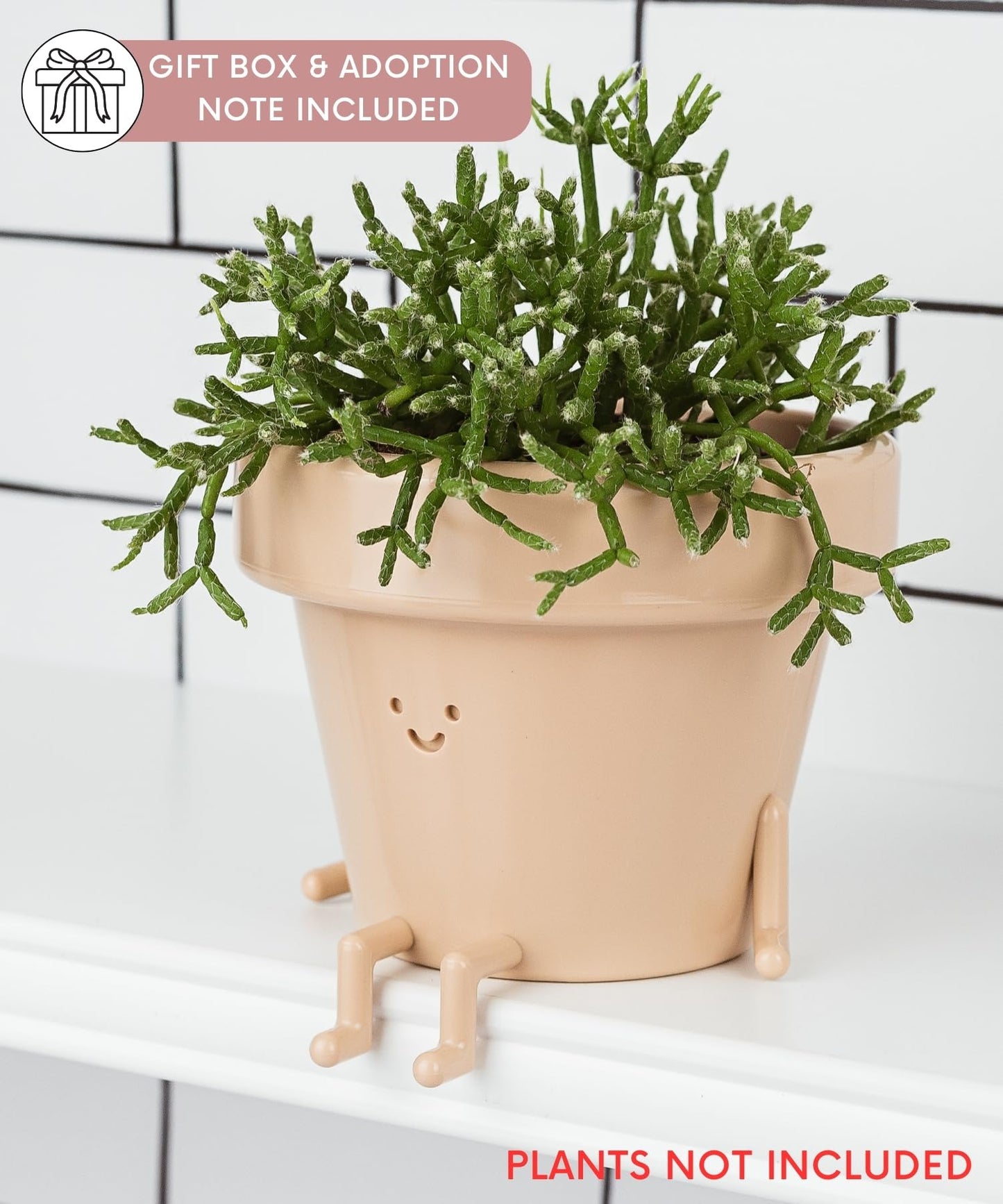 Cute Sitting Planter - 3.5 Inch with Drainage, Unique Succulent & Cactus Pot, Fun Teacher & Housewarming Gift