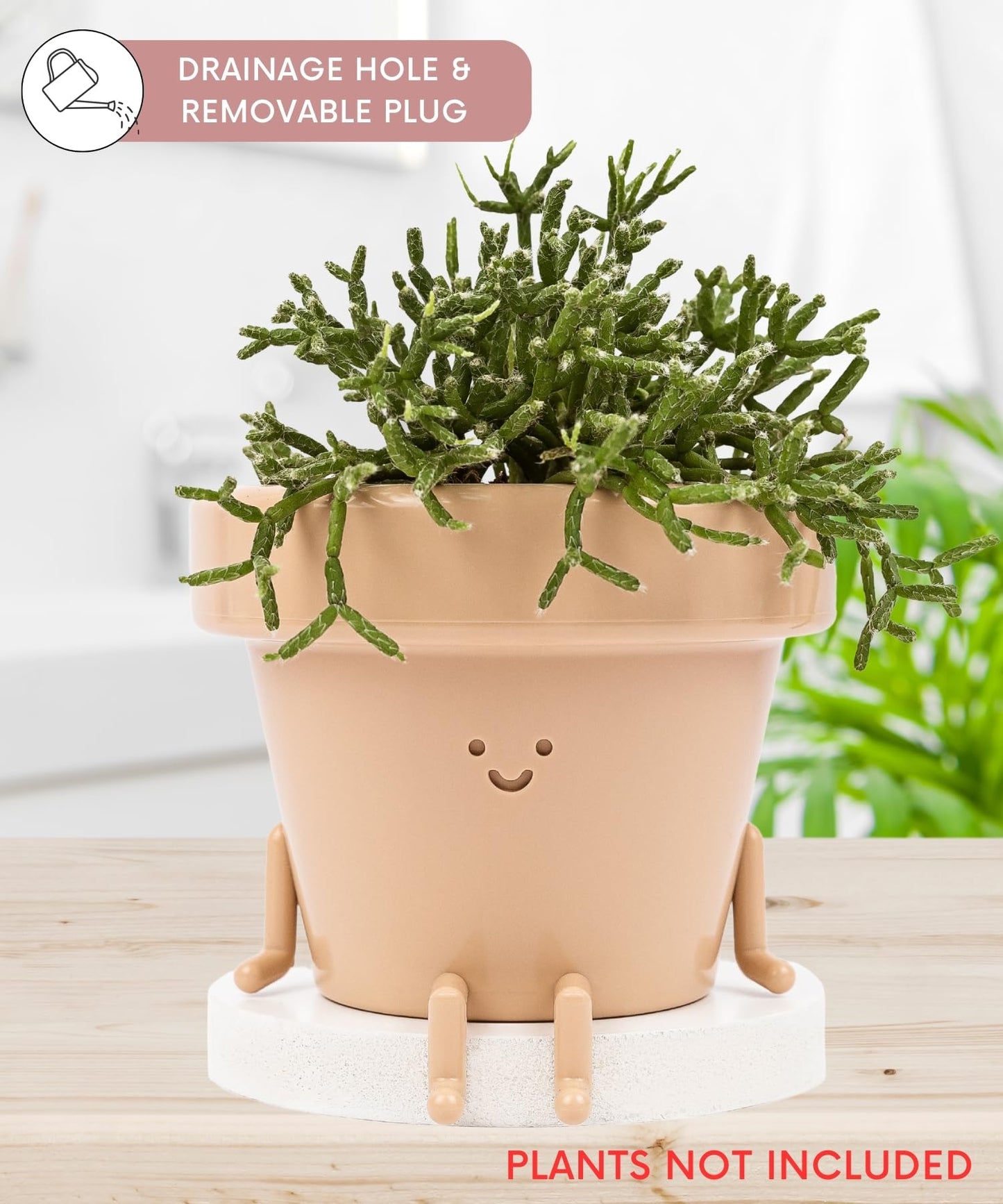 Cute Sitting Planter - 3.5 Inch with Drainage, Unique Succulent & Cactus Pot, Fun Teacher & Housewarming Gift