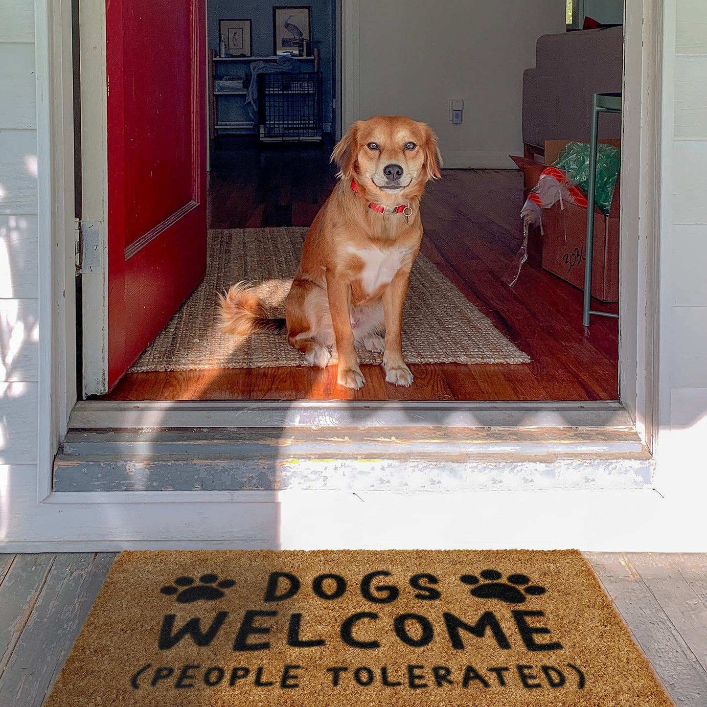 Dogs Welcome Door Mat - Funny Dog Doormat for Boho Home Decor