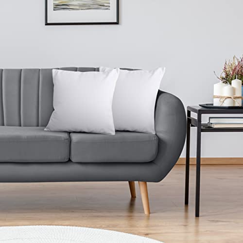 Throw Pillow Inserts (Pack of 2, White) - 18 x 18 Inches for Bed and Couch - Indoor Decorative Pillows
