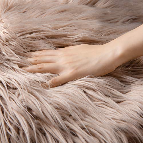 Ultra Soft Faux Fur Shag Rug - 2x3 Feet Beige Sheepskin, Machine Washable, Ideal for Nursery, Bedroom, Kids Room, and Living Room