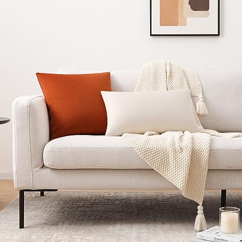 Velvet Square Decorative Throw Pillow Covers 18 x 18 Inches for Couch and Bed, Set of 2