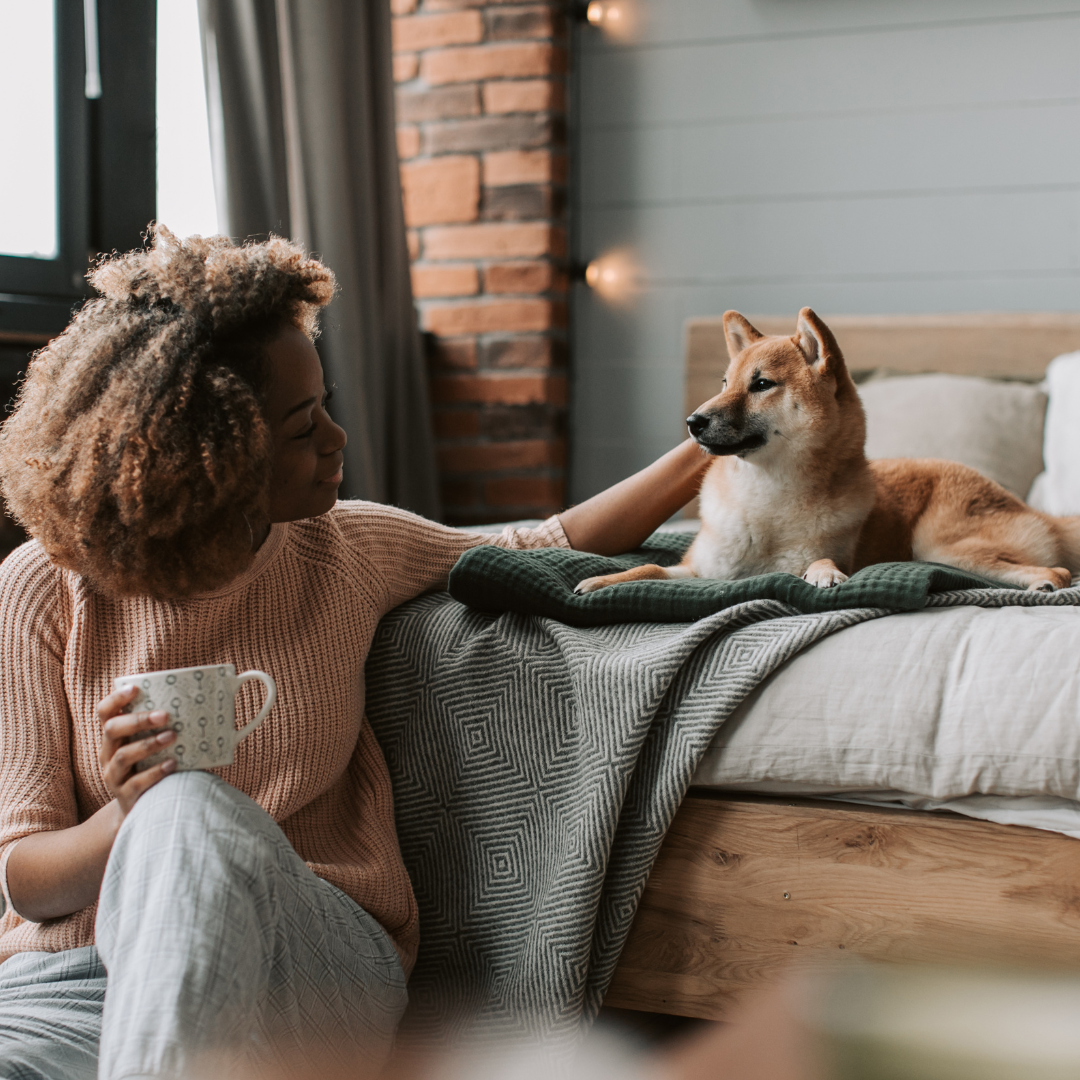 Best Pet-Proof Duvet Covers: Stain-Resistant, Hypoallergenic, and Easy to Clean