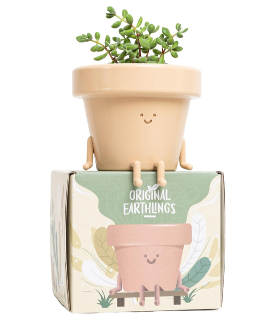 Cute Sitting Planter - 3.5 Inch with Drainage, Unique Succulent & Cactus Pot, Fun Teacher & Housewarming Gift