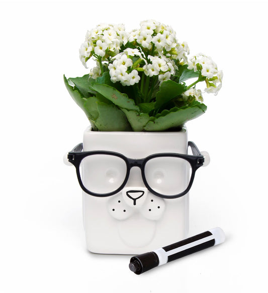 Puppy Novelty Planter Pot | Ceramic Vase for Succulents, Cacti & Glasses | Draw-On Design