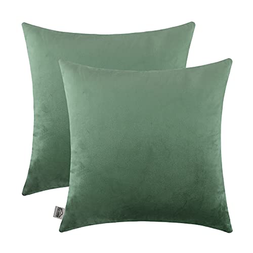 Comfy Sage Green Throw Pillow Covers Decorative Square Solid Thick Velvet Super Soft Cushion Cases Home Decor for Sofa Couch Living Room Chair, Set of 2, 18 x 18 Inch