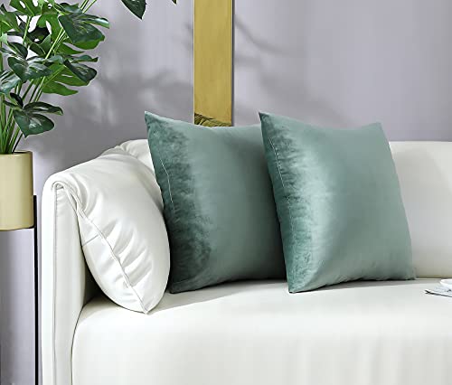 Comfy Sage Green Throw Pillow Covers Decorative Square Solid Thick Velvet Super Soft Cushion Cases Home Decor for Sofa Couch Living Room Chair, Set of 2, 18 x 18 Inch