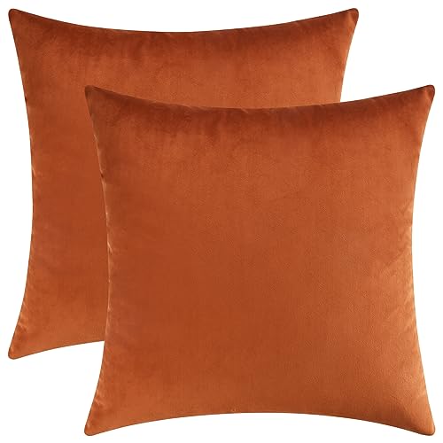 Velvet Square Decorative Throw Pillow Covers 18 x 18 Inches for Couch and Bed, Set of 2