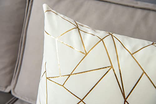 YONGLIU Set of 2 Velvet Cushion Cases Decorative Gold Foil Geometric Pattern Ultra-Soft Square Throw Pillow Covers for Modern Homes Couch Sofa Bedroom Living Room Car Chair(Off White, 20"X20")