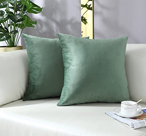 Comfy Sage Green Throw Pillow Covers Decorative Square Solid Thick Velvet Super Soft Cushion Cases Home Decor for Sofa Couch Living Room Chair, Set of 2, 18 x 18 Inch