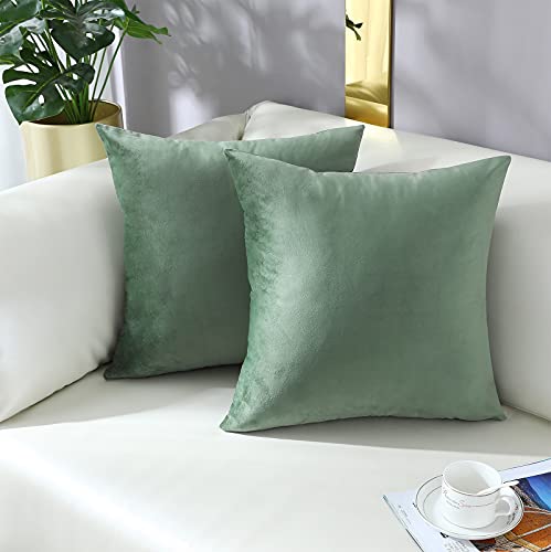 Comfy Sage Green Throw Pillow Covers Decorative Square Solid Thick Velvet Super Soft Cushion Cases Home Decor for Sofa Couch Living Room Chair, Set of 2, 18 x 18 Inch