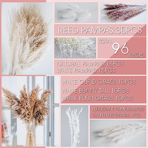Boho Natural Dried Pampas Grass Home Decor Bouquet for Floral Arrangements and Decor