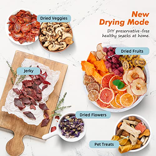 𝐒𝐞𝐩𝐭𝐫𝐞𝐞 Food Dehydrator for Jerky, Fruit, Meat, Veggies, Dog Treats, Herbs, 6 Stainless Steel Trays Food Dryer Machine with Digital Timer, Temperature Control & Safety Over Heat Protection
