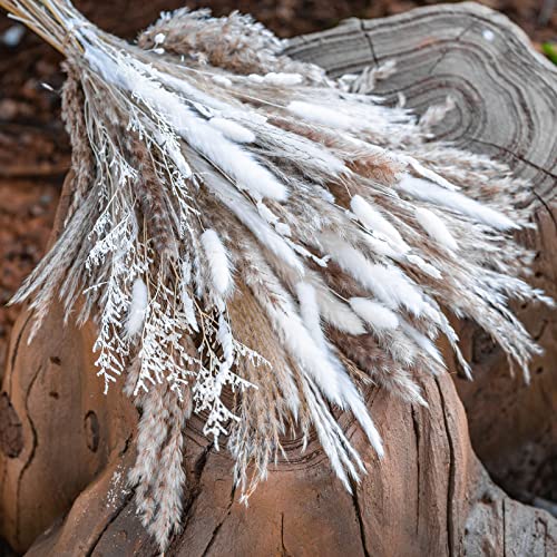 Boho Natural Dried Pampas Grass Home Decor Bouquet for Floral Arrangements and Decor