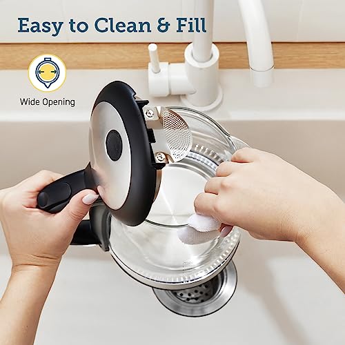 Electric Tea Kettle, Stainless Steel, 1.7L, BPA-Free, Black
