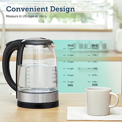 Electric Tea Kettle, Stainless Steel, 1.7L, BPA-Free, Black